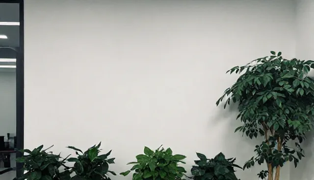 需求反馈对文案创作质量的影响原因分析